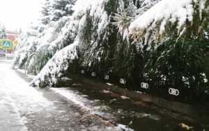 Снег выпал в районе Сундуков и на трассе Абакан — Ак-Довурак