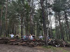 Волонтёры Летней Школы в «Каменном лесу»: вклад в природу и экопросвещение