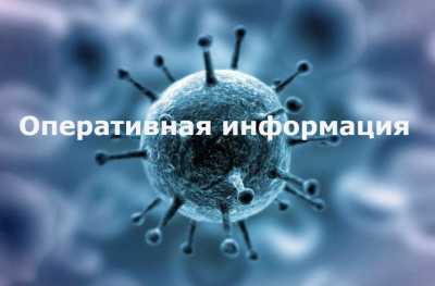 За сутки в Хакасии выздоровели 158 пациентов с COVID-19, заболевших - 181