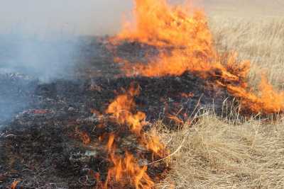 На выходных в Хакасии зафиксирован всплеск пожаров