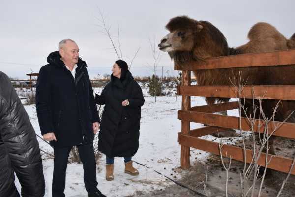 Агротуристическая ферма открылась под Абаканом