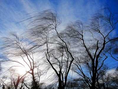22 марта в Хакасии ожидается сильный ветер