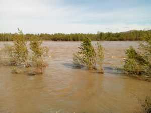 Экстренное предупреждение: подъем уровня воды на р. Енисей