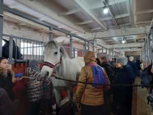 Ученики одной из школ Абакана займутся конным спортом