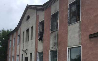 Собака застряла в окне приюта в Черногорске