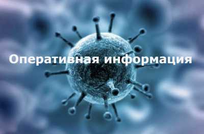 За сутки в Хакасии 21 человек выздоровел, новых случаев заражения коронавирусом - 20