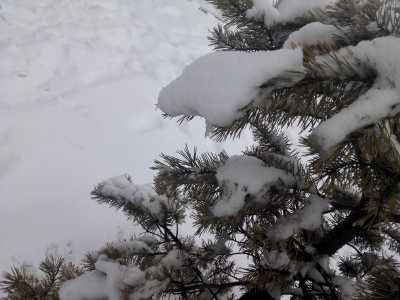 Зима остается мягкой: прогноз по Хакасии