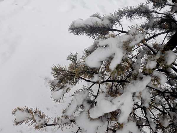 Февраль покажет зимнюю погоду в Хакасии