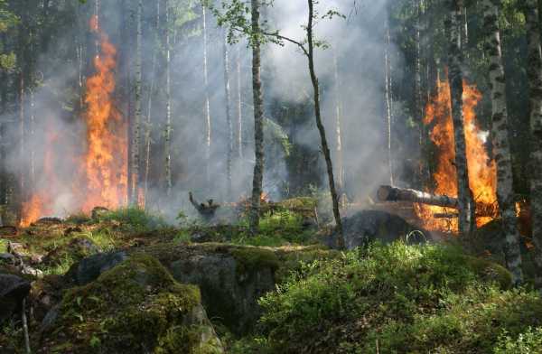 В Хакасии горят леса: тушат более 70 га