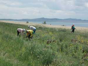 Волонтеры очистили от мусора берега заповедного озера