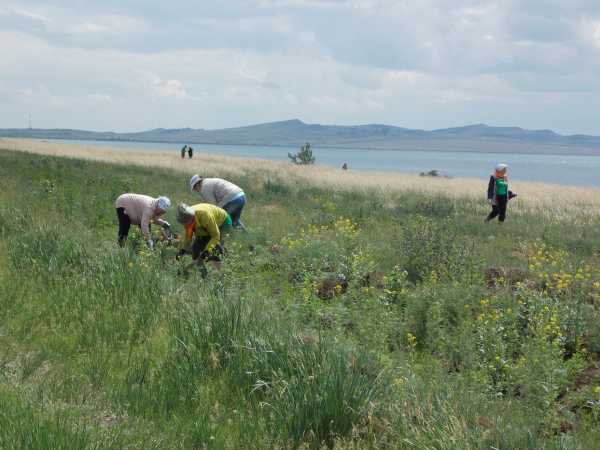 Волонтеры очистили от мусора берега заповедного озера