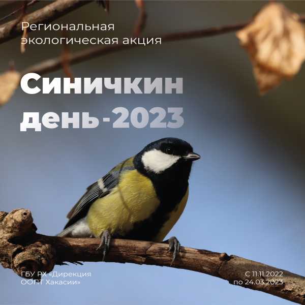 «Синичкин день - 2023»: экологическая акция в Хакасии