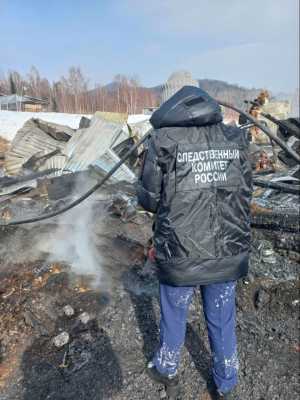 Женщина и ее сын погибли при пожаре в Хакасии