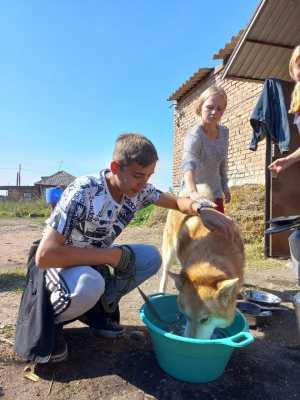 В Минусинске жители приюта &quot;Новая жизнь&quot; ищут дом