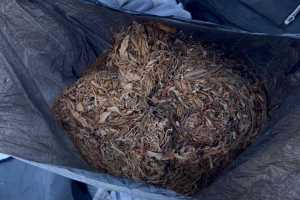 Житель Шушенского района привез в Абакан мешок марихуаны