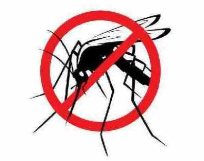 Почему в Абакане так много комаров?