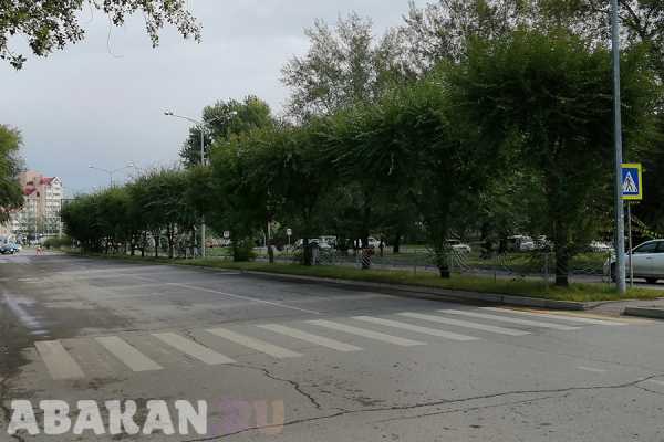 В ближайшие две недели коммунальщики будут приводить в порядок территории у образовательных учреждений