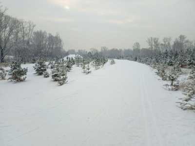 Массовый лыжный забег даст старт зимнему спортивному сезону