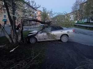 В Аскизском районе серьезно травмирован водитель иномарки