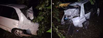 Иномарка влетела в дерево в Хакасии: пострадала автоледи