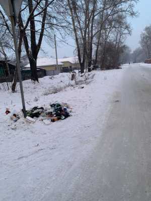 Жить в чистом городе хочет каждый, но не каждый соблюдает чистоту