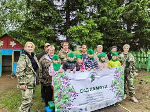 Более 80 тысяч сосен высажено в этом году в Хакасии в рамках международной акции «Сад памяти»