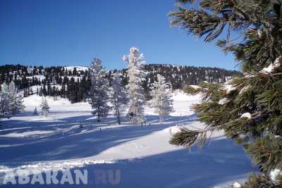 Морозно, но без снегопада: прогноз по Хакасии
