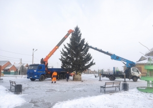 В Красном Абакане установили новогоднюю ёлку