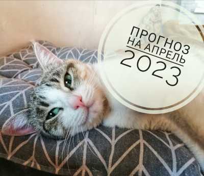 Советы нумеролога: Что лучше всего делать в апреле 2023 года