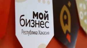 Более 70 инвестпроектов реализуются в Хакасии благодаря господдержке