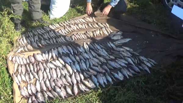 В Хакасии в суд передано дело о незаконной добыче рыбы на 118 тысяч рублей