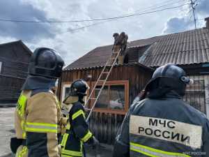 Сырая погода провоцирует: пожары в Хакасии